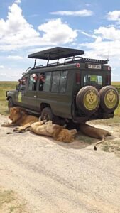 Africa’s Coastal Loop 2026 – two-country safaris powered by new direct flights